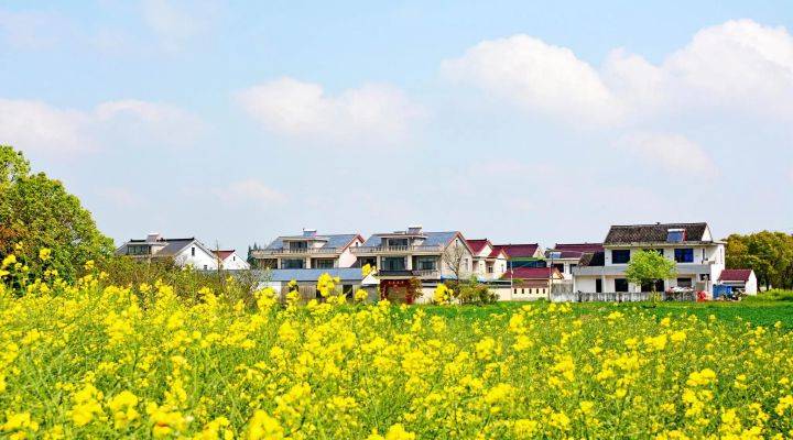 河南焦作市发文推进农村人居环境整治、农村污水治理、黑臭水体治理